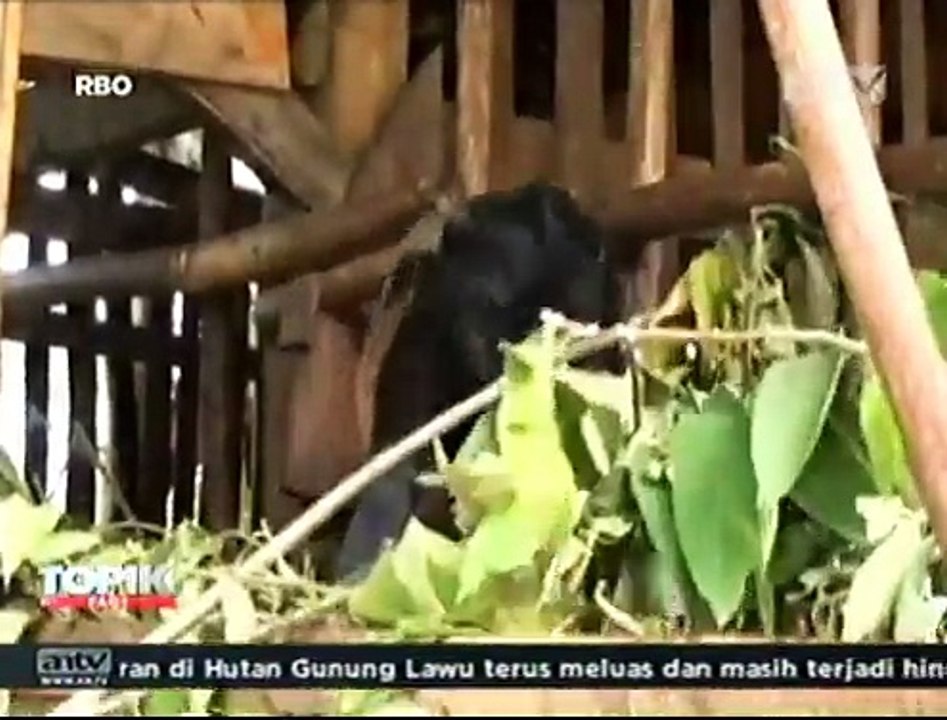Jakarta Dikunjungi Tuhan