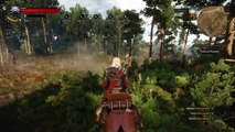 The Witcher 3: I Segreti del Frutteto (Il Cancello Illogicamente Chiuso)