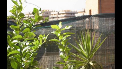 Beautiful holiday apartment in Rome