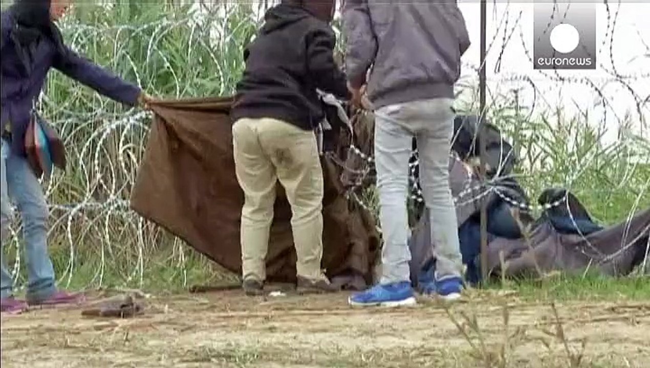 Serbien/Ungarn: Immer mehr Flüchtlinge kommen über grüne Grenze