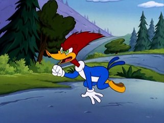 El pajaro loco -  El escondite