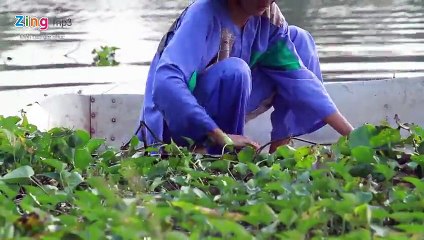 Tinh Su Truong Chi My Nuong - Le Hau - 480p