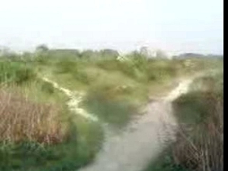 250rm cr85