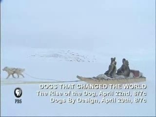 NATURE | Dogs That Changed the World |