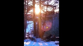 Winter camping trip with the dogs