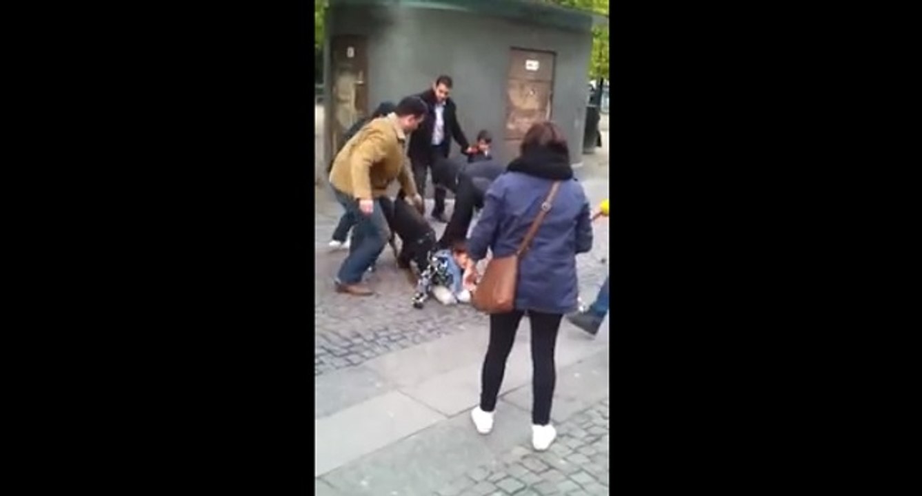 Suède : un chien attaque un enfant