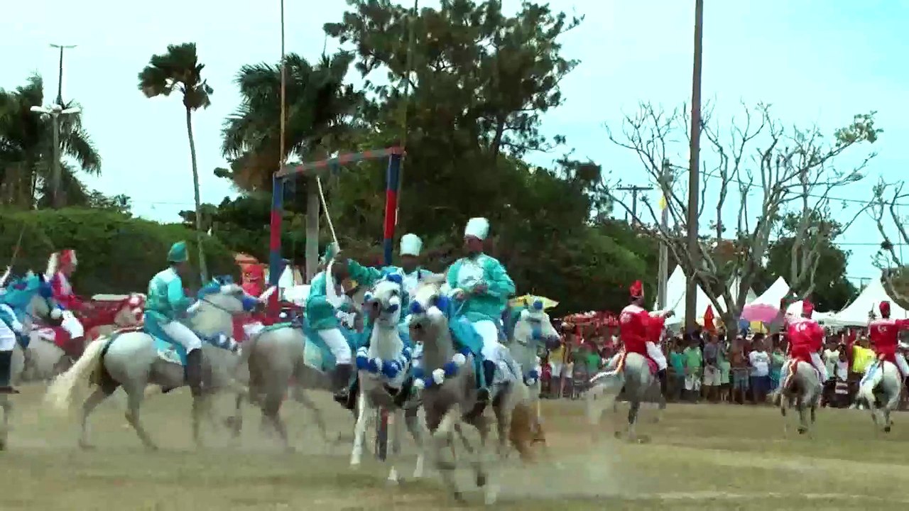 JR 25-08 BL 01