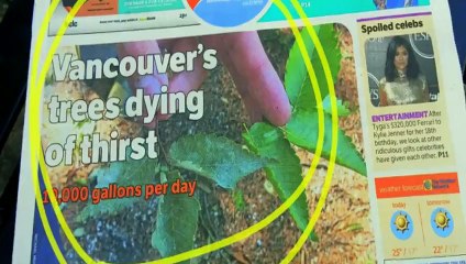 Drought Tree Saving Technique by Australian Figure Skating Champion in Vancouver, Canada