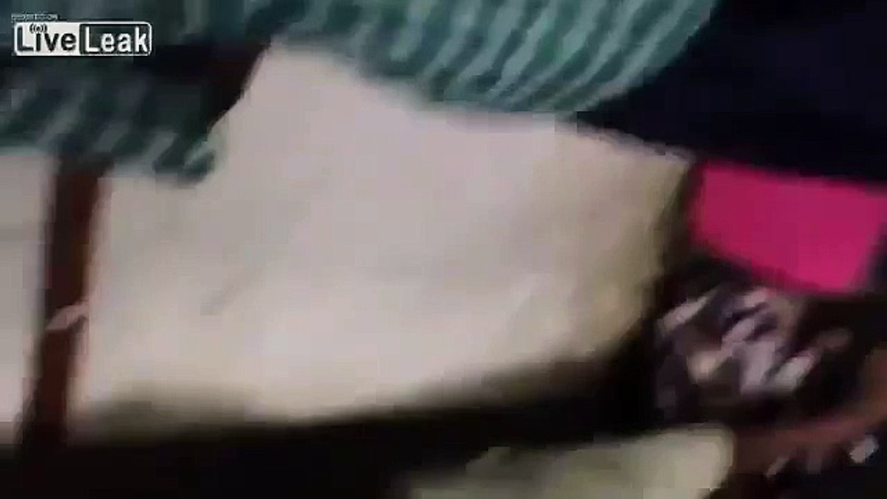 Indian workers selling dogs meat as cow beef got caught in Saudi Arabia