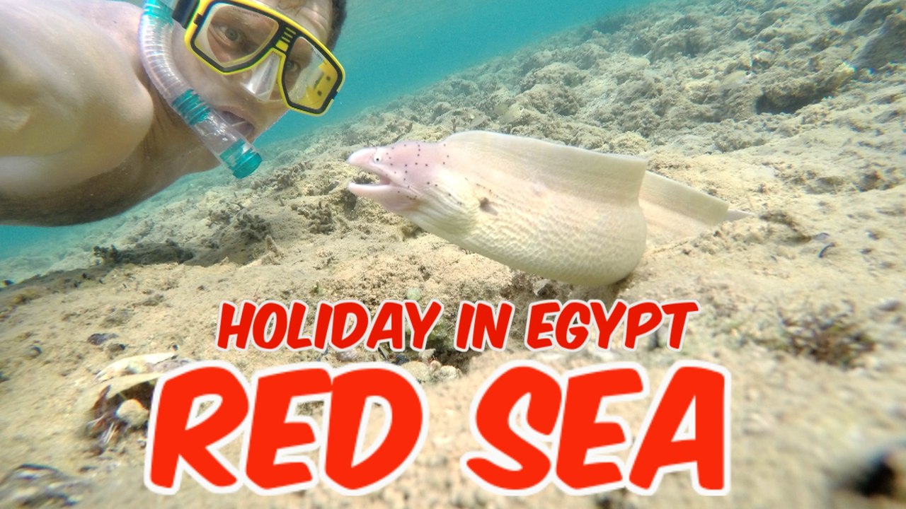 Holiday in Egypt Hurghada  Red Sea underwater, Test GoPro HERO4 Video HD #3day