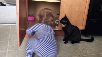 This cat has had enough of that kid.