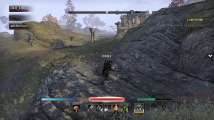 The Elder Scrolls Online: hit him to hard