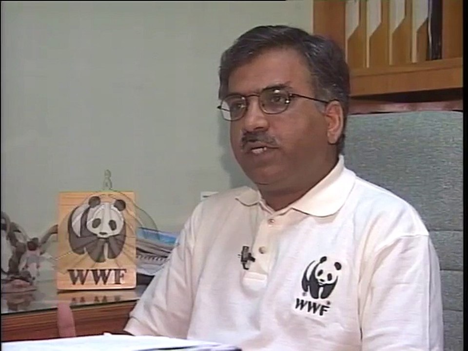 Shabbir Ibne Adil, PTV, News Report: Pink Flamingoes in Karachi (2003)