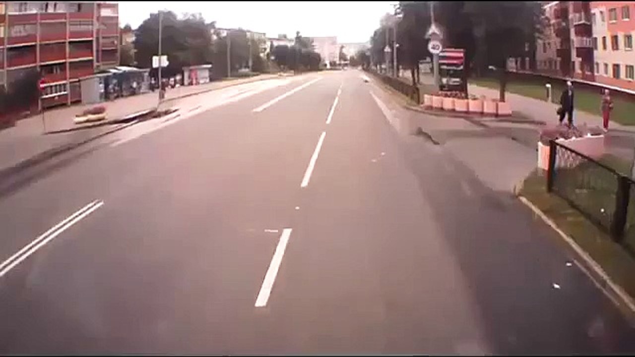 Упоротый Кот на дороге.