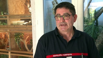 Quand la caserne des pompiers s'improvise refuge à reptiles