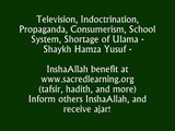 Television, Indoctrination, Propaganda, School System - Shaykh hamza Yusuf