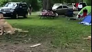 Funny camping fail