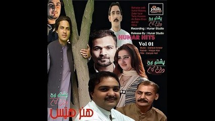 Pa Zrah Dard Mand Sham By Zafar Iqrar Pashto New Songs Album 2015 Hunar Hits Vol 1 Pashto HD