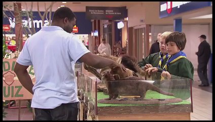 Just For Laughs Gags 23 August 2015 From Fake to Real Skunk Prank