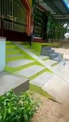 کیا آپ ایسا بکرا خرید نا چاھیں گے؟؟؟ ....... Bakra # 1