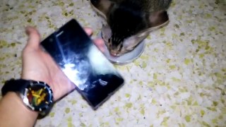 Soft Muffled Sony Xperia speaker repair for Cat