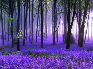 Christian converted to Islam in Norway