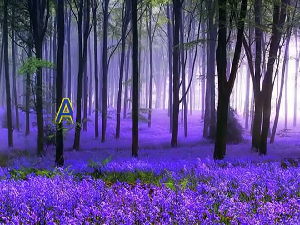 Christian converted to Islam in Norway