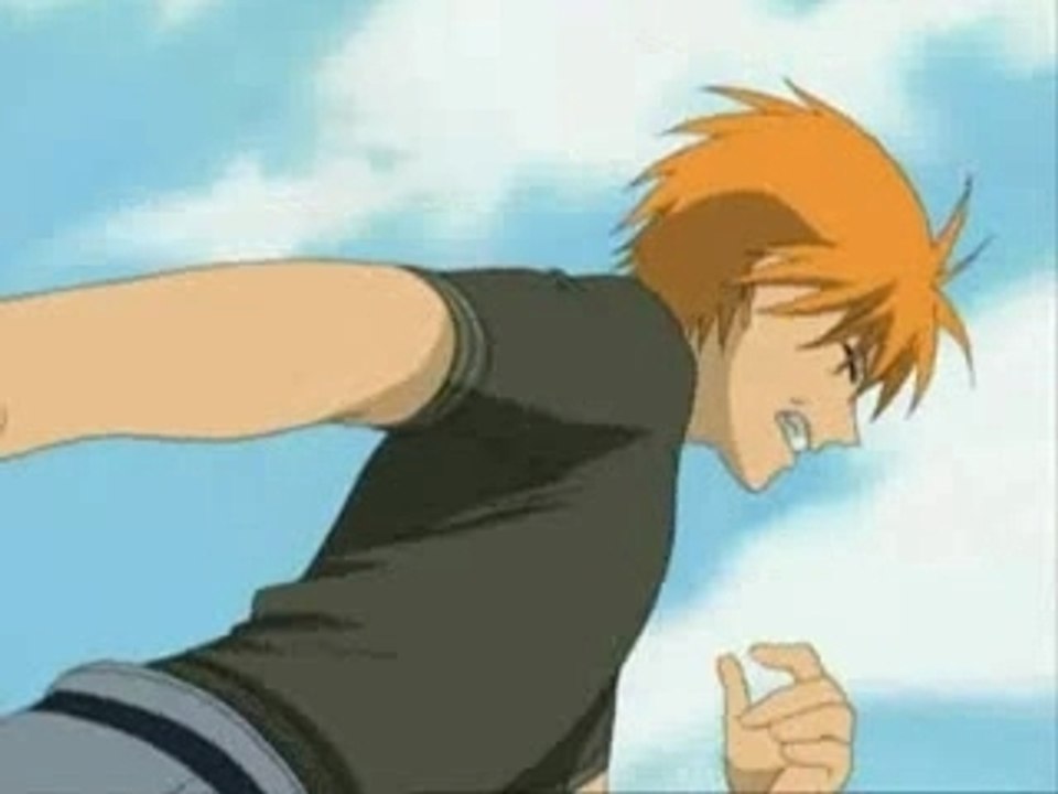 Fruits Basket - Evergreen