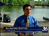 3 alligators spotted in Lake Wylie