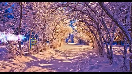 Christian converted to Islam in Belgium