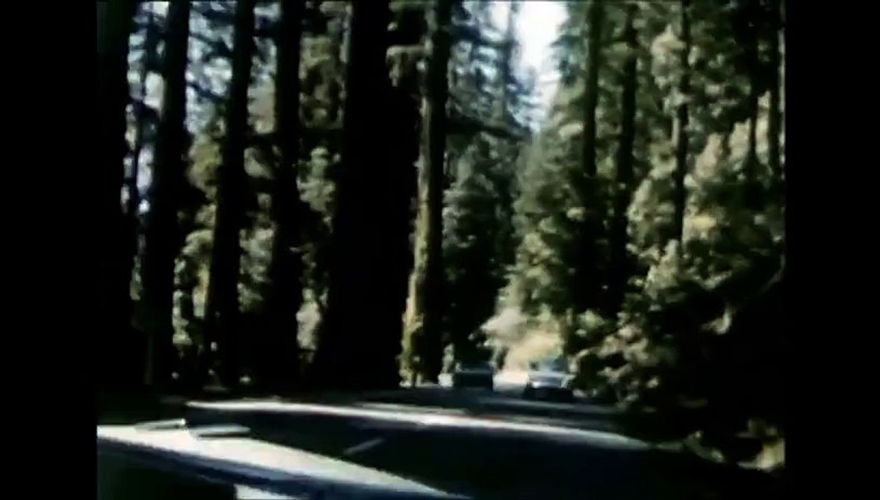 The Excursion