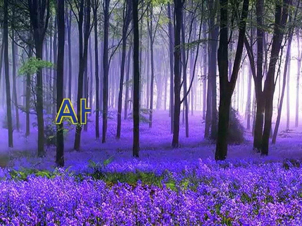 Christian converted to Islam in USA