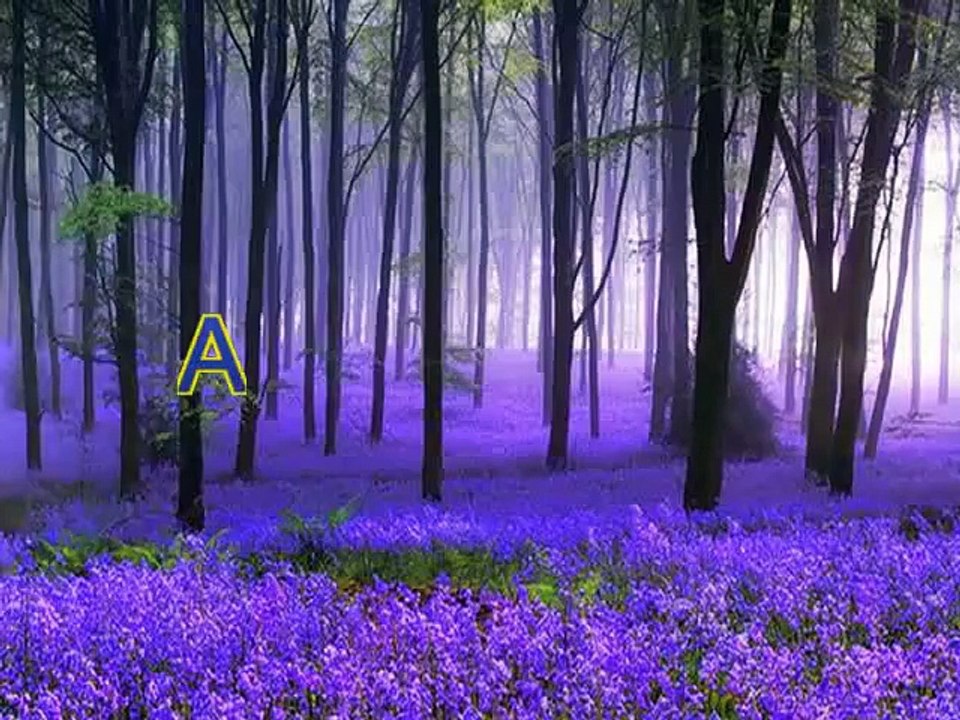 Christian converted to Islam in Netherlands