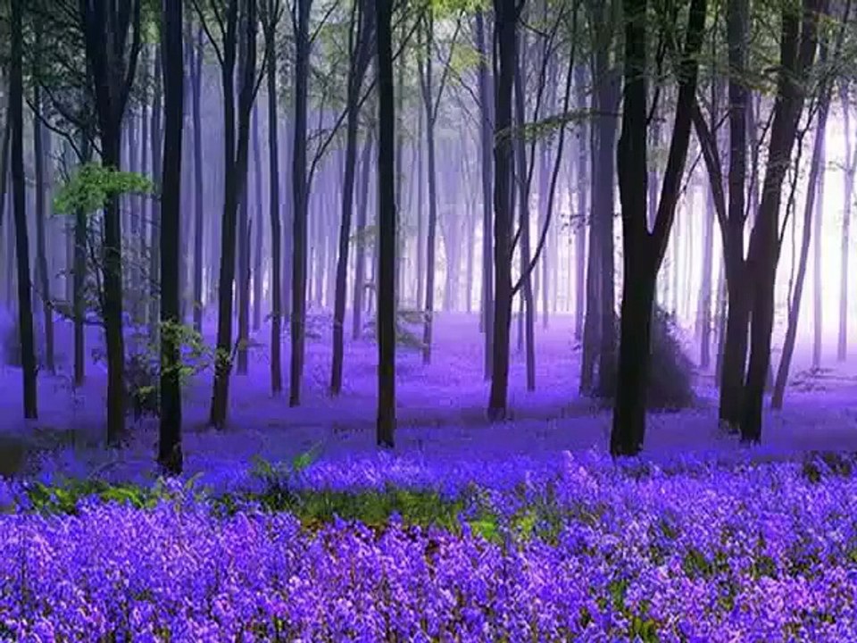 Christian converted to Islam in Germany