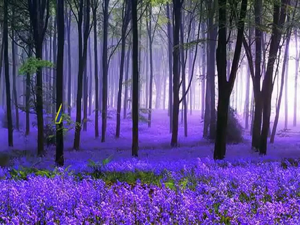 Christian converted to Islam in Tansania