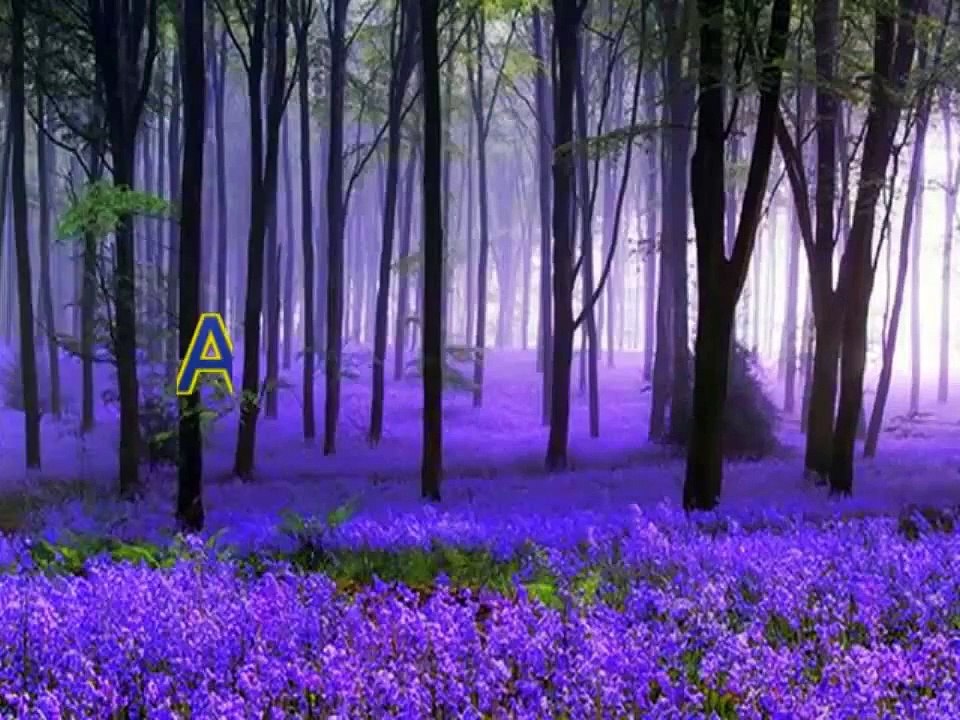 Christian converted to Islam in USA