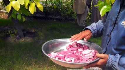 Bahria town zoo lions