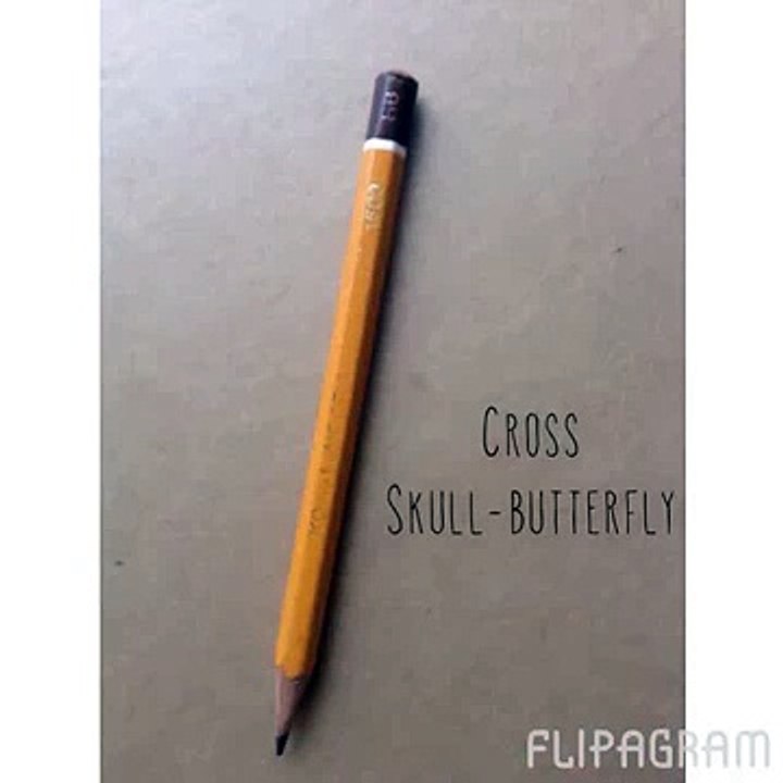 Cross:-Skull---Butterfly-(pastelli-e-china)