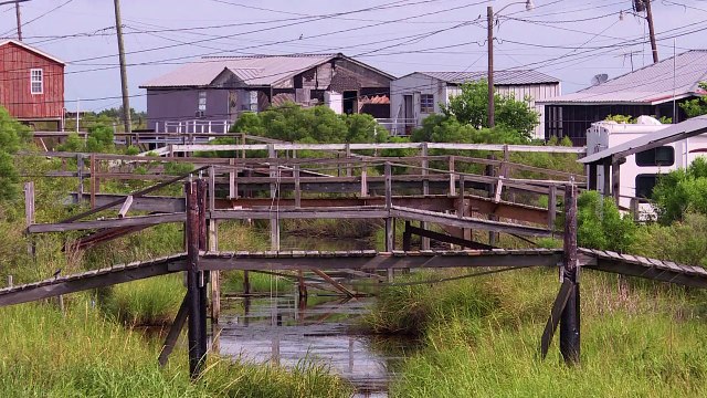 In the Louisiana Bayou, an island slowly disappears under water