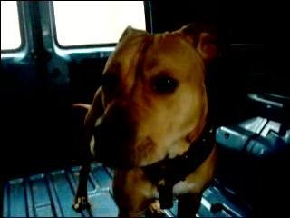 re jack ds la  camionette lol