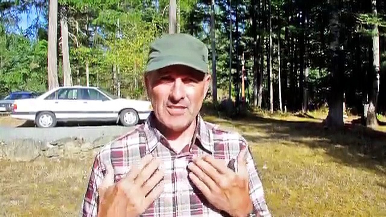 Victoria  SEO Agency - Local Victoria BCSEO Services 604 670 4377