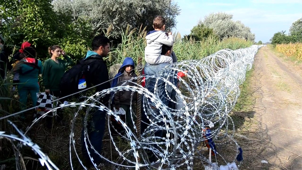 Flüchtlingsandrang an Ungarns Grenzzaun