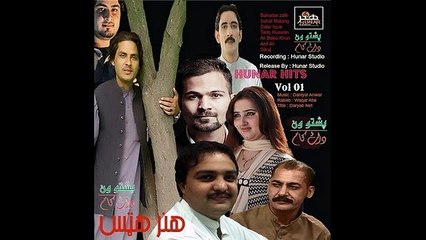 Pekhawara Sok De Shta Kana Tariq Hussain Pashto New Songs Album 2015 Hunar Hits Vol 1 Pashto HD