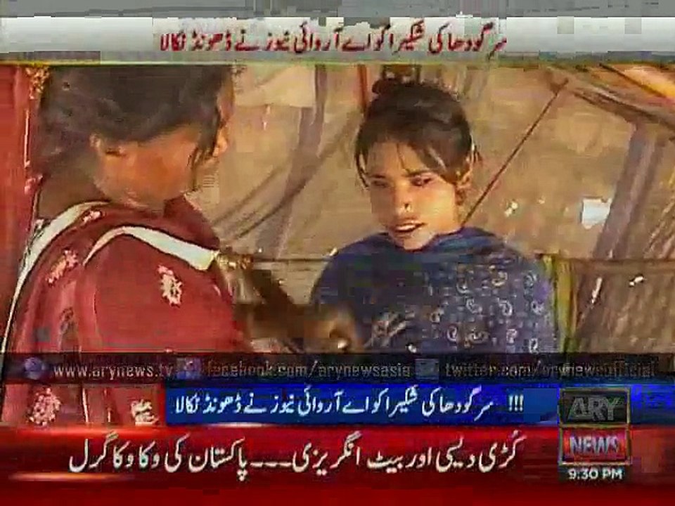 Pakistani Shakira Waka Waka Media Scandal Shakira Ko Kis Nay Dhonda Ore Such Kia Hai