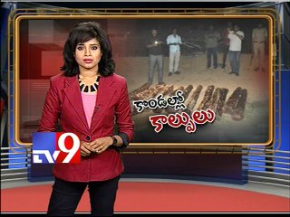 35 Red sanders logs seized in Seshachalam