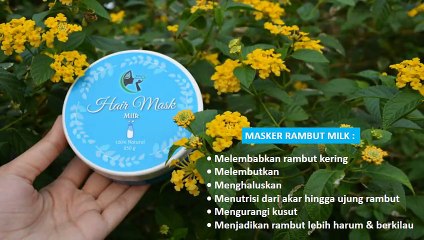 HP 0856 4369 9889, Masker Rambut Alami untuk Rambut Rusak
