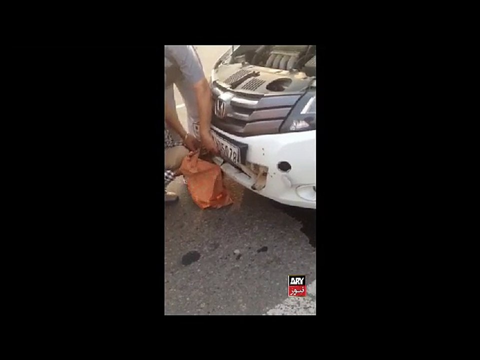 Look what happen to this Dog after road accident (By Sharjeel Sheikh)