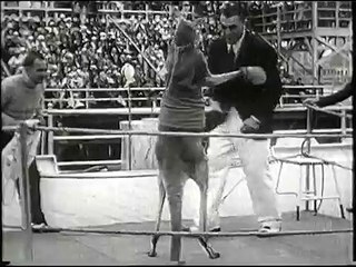 Boxing Kangaroo Vs World Heavyweight Champion