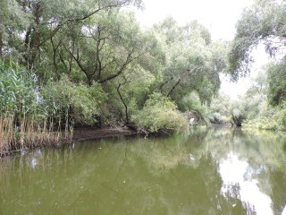 Romania 2015 - Danube Delta