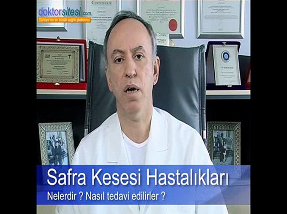 Prof.Dr. Emin ERSOY - Safra Kesesi Hastalıkları Nelerdir ?